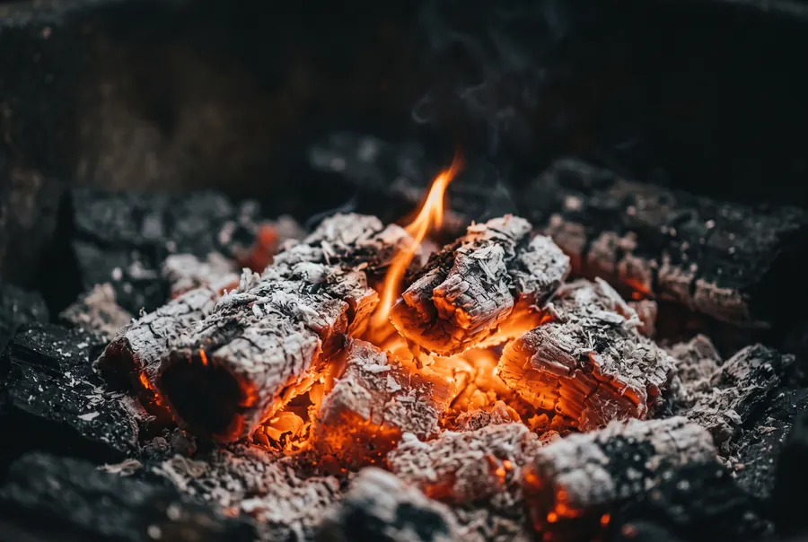 Birch coals glowing under a fine layer of ash.